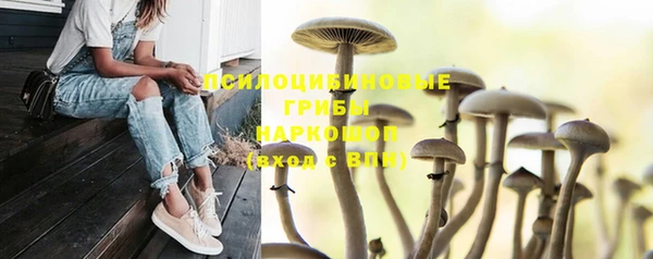 герыч Алексеевка