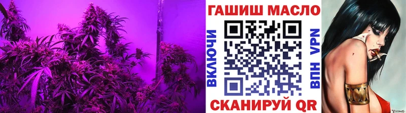 Дистиллят ТГК THC oil  закладка  Петропавловск-Камчатский 